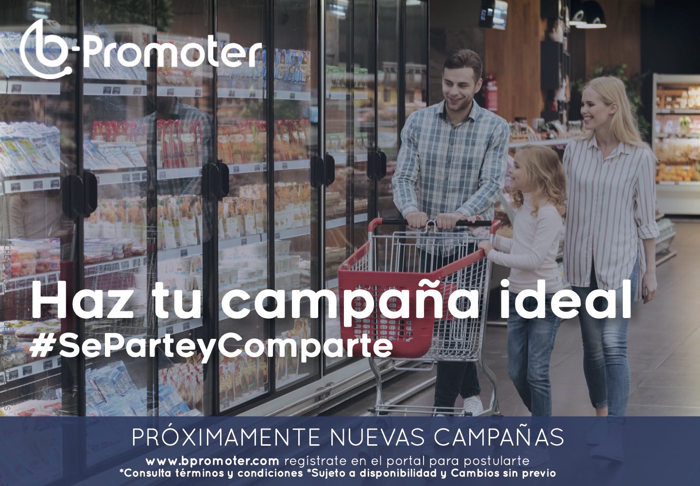 Haz tu campaña ideal